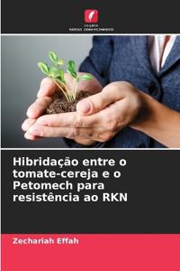 Hibridação entre o tomate-cereja e o Petomech para resistência ao RKN