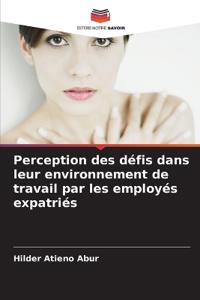 Perception des défis dans leur environnement de travail par les employés expatriés