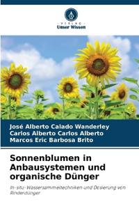 Sonnenblumen in Anbausystemen und organische Dünger