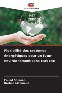 Flexibilité des systèmes énergétiques pour un futur environnement sans carbone
