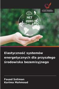 Elastycznośc systemów energetycznych dla przyszlego środowiska bezemisyjnego
