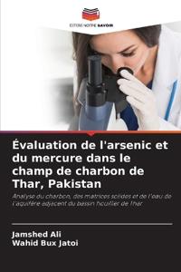 Évaluation de l'arsenic et du mercure dans le champ de charbon de Thar, Pakistan