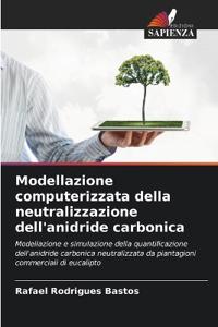 Modellazione computerizzata della neutralizzazione dell'anidride carbonica