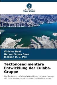 Tektonosedimentäre Entwicklung der Cuiabá-Gruppe