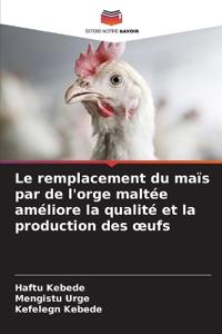 Le remplacement du maïs par de l'orge maltée améliore la qualité et la production des oeufs