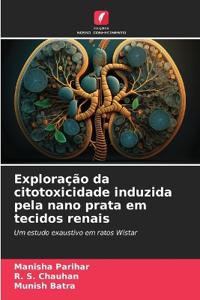 Exploração da citotoxicidade induzida pela nano prata em tecidos renais