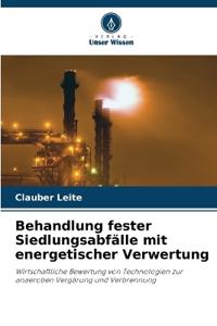 Behandlung fester Siedlungsabfälle mit energetischer Verwertung
