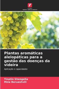 Plantas aromáticas alelopáticas para a gestão das doenças da videira