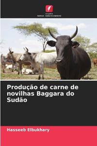 Produção de carne de novilhas Baggara do Sudão