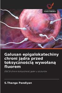 Galusan epigalokatechiny chroni jadra przed toksycznoscia wywolana fluorem