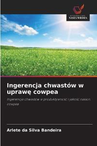 Ingerencja chwastów w uprawe cowpea