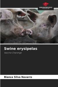 Swine erysipelas