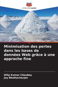 Minimisation des pertes dans les bases de données Web grâce à une approche fine