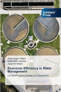 Economic Efficiency in Water Management