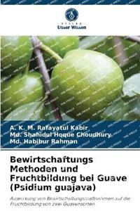 Bewirtschaftungs Methoden und Fruchtbildung bei Guave (Psidium guajava)