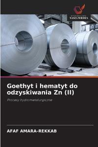 Goethyt i hematyt do odzyskiwania Zn (II)