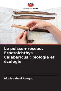Le poisson-roseau, Erpetoichthys Calabaricus