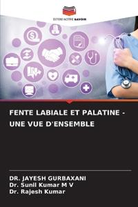 Fente Labiale Et Palatine - Une Vue d'Ensemble
