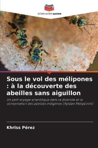 Sous le vol des mélipones: à la découverte des abeilles sans aiguillon