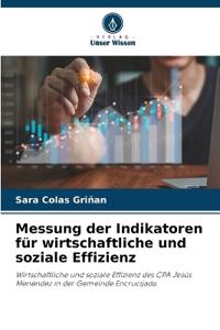 Messung der Indikatoren für wirtschaftliche und soziale Effizienz