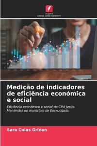 Medição de indicadores de eficiência económica e social