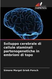 Sviluppo cerebrale di cellule staminali partenogenetiche in embrioni di topo