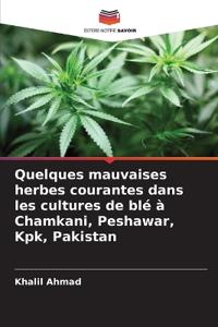 Quelques mauvaises herbes courantes dans les cultures de blé à Chamkani, Peshawar, Kpk, Pakistan