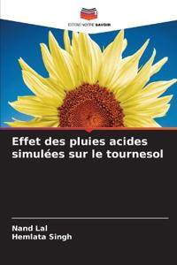 Effet des pluies acides simulées sur le tournesol