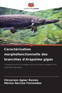 Caractérisation morphofonctionnelle des branchies d'Arapaima gigas