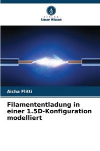 Filamententladung in einer 1.5D-Konfiguration modelliert