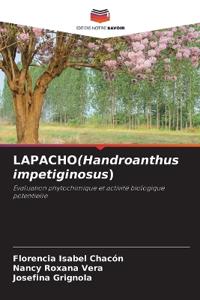 LAPACHO(Handroanthus impetiginosus)
