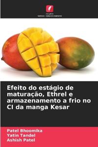 Efeito do estágio de maturação, Ethrel e armazenamento a frio no CI da manga Kesar