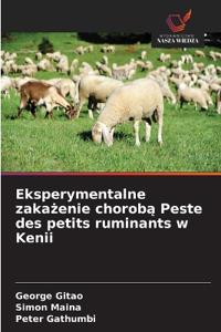 Eksperymentalne zakazenie choroba Peste des petits ruminants w Kenii