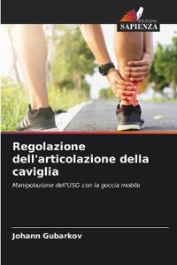 Regolazione dell'articolazione della caviglia