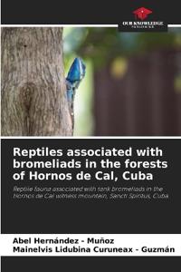 Reptiles associated with bromeliads in the forests of Hornos de Cal, Cuba