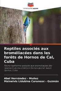 Reptiles associés aux broméliacées dans les forêts de Hornos de Cal, Cuba