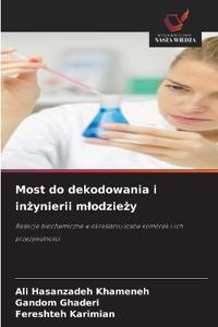 Most do dekodowania i inzynierii mlodziezy