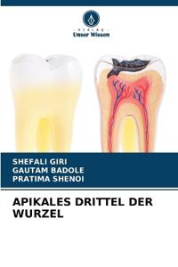 Apikales Drittel Der Wurzel