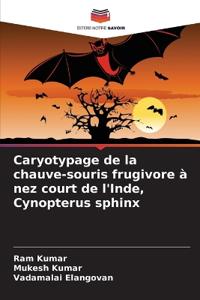 Caryotypage de la chauve-souris frugivore à nez court de l'Inde, Cynopterus sphinx