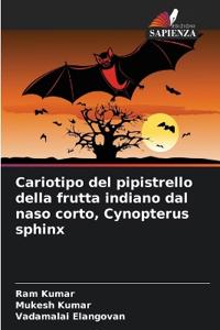 Cariotipo del pipistrello della frutta indiano dal naso corto, Cynopterus sphinx