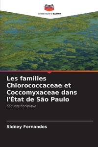 Les familles Chlorococcaceae et Coccomyxaceae dans l'État de São Paulo