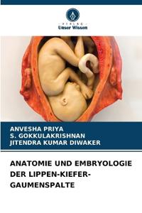 Anatomie Und Embryologie Der Lippen-Kiefer-Gaumenspalte