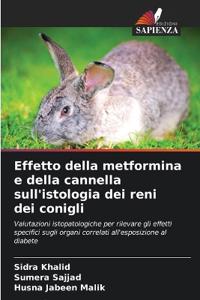Effetto della metformina e della cannella sull'istologia dei reni dei conigli