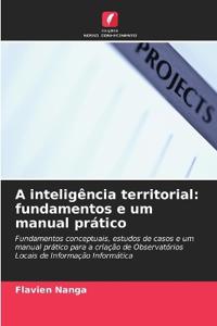 A inteligência territorial