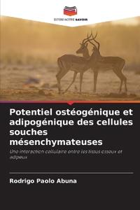 Potentiel ostéogénique et adipogénique des cellules souches mésenchymateuses