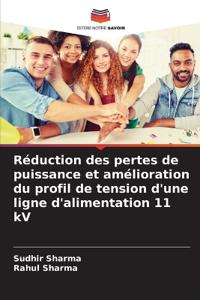 Réduction des pertes de puissance et amélioration du profil de tension d'une ligne d'alimentation 11 kV