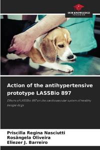 Action of the antihypertensive prototype LASSBio 897