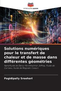 Solutions numériques pour le transfert de chaleur et de masse dans différentes géométries