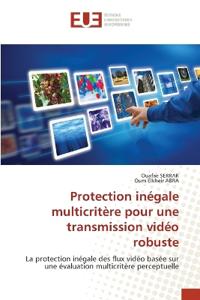 Protection inégale multicritère pour une transmission vidéo robuste
