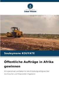 Öffentliche Aufträge in Afrika gewinnen
